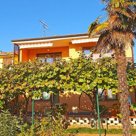 Apartment Josip 933 Fažana Dış mekan fotoğraf